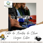 EXPERIENCIAS TURISTICAS OLEOSETIN